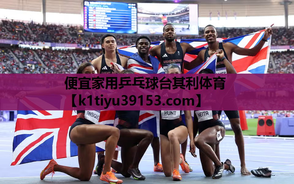 便宜家用乒乓球台其利体育